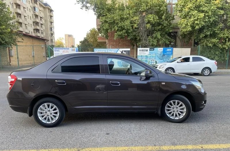 Cobalt 2019 choko 2 Cobalt 2019 choko 2