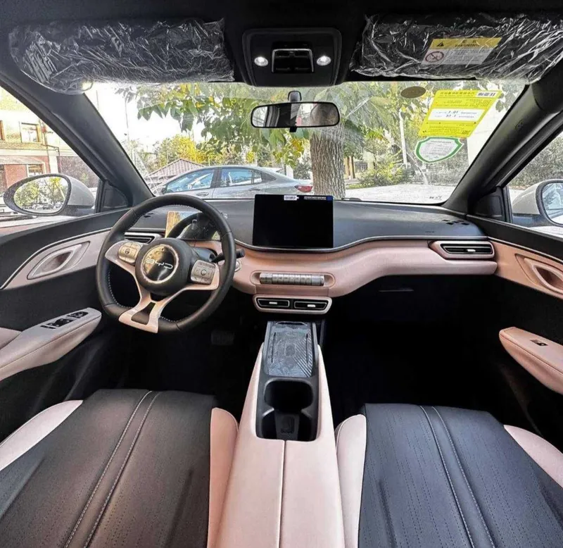 Byd seagull Naqd va halol nasiya