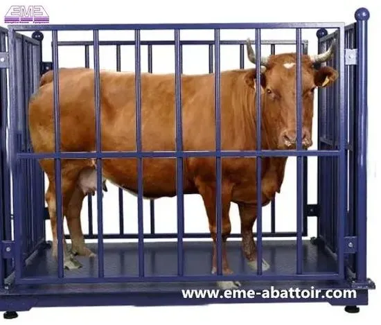Mol tarozi. Мол улчаш