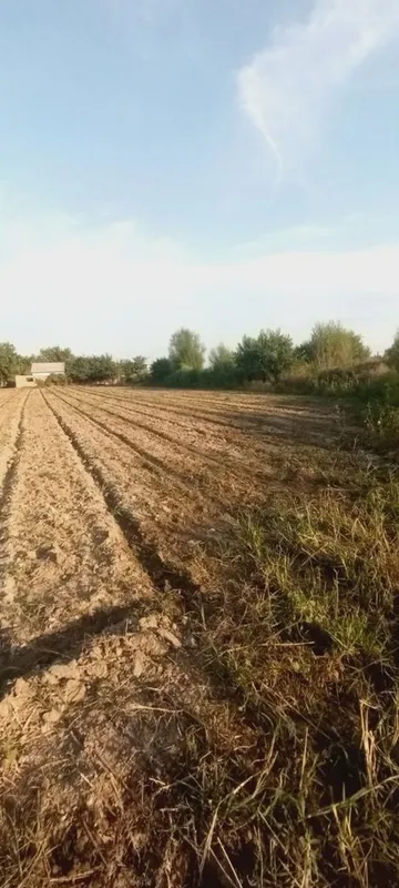 Turar joy Ozod dacha 2 Turar joy Ozod dacha 2