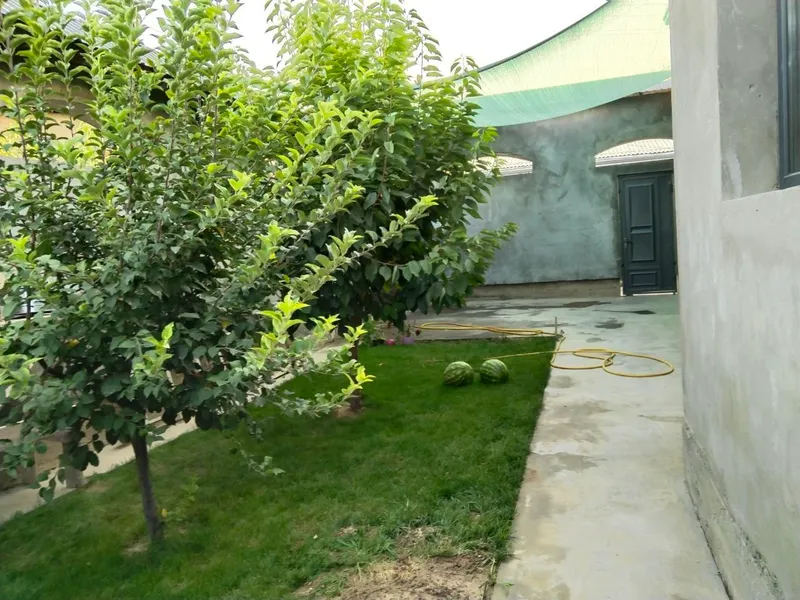 xovli joy 3 sotoxli, 4 xonali sotiladi 2
