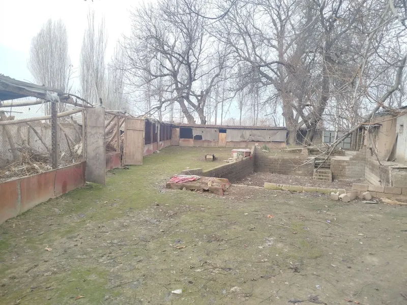Ховли жой Сотилади ёки арендага ёки алишамиз. 3