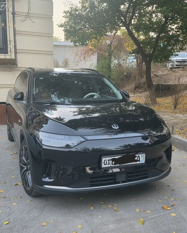 Электрический Leapmotor C11 3