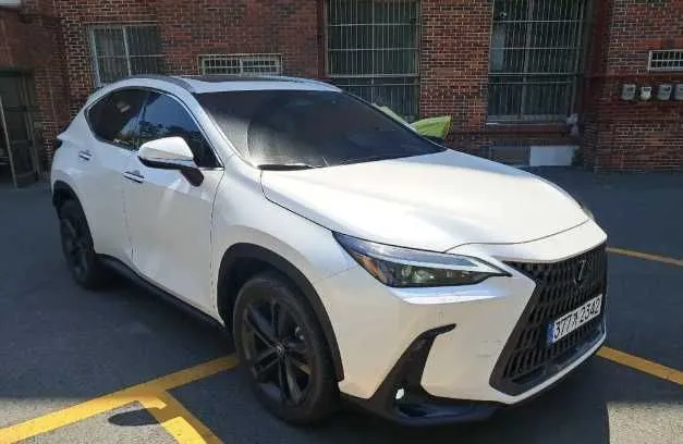 Lexus NX 350h Luxury — фото 7