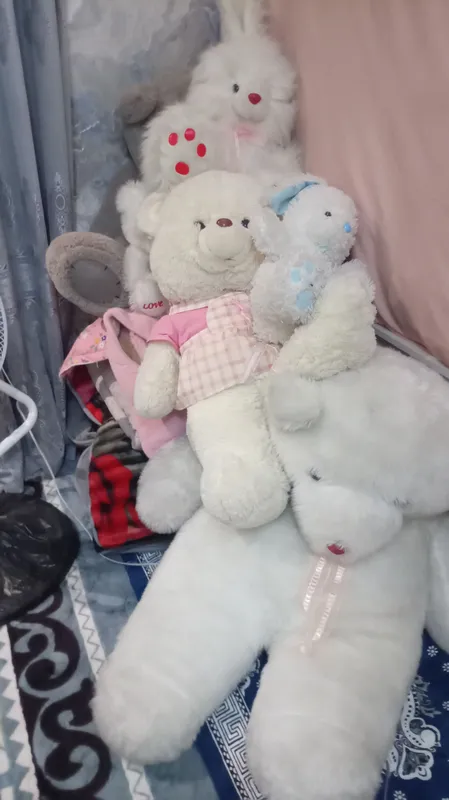 айикчалар бор хаммаси тоза 4 айикчалар бор хаммаси тоза 4