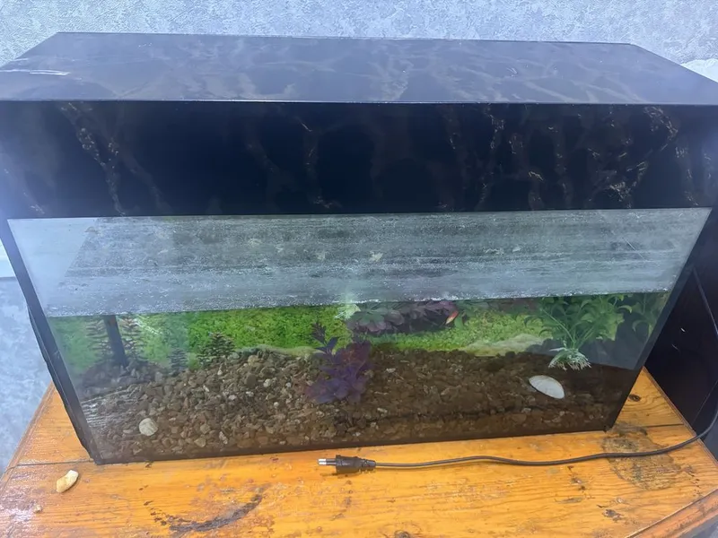 Avaryum b/u 50/10 sm 3 Avaryum b/u 50/10 sm 3