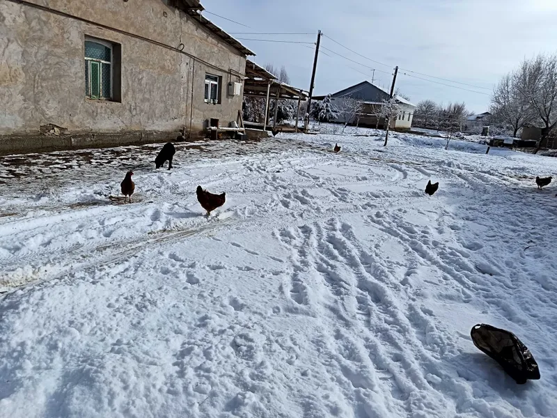 Үй сатылады бағасы келісімді