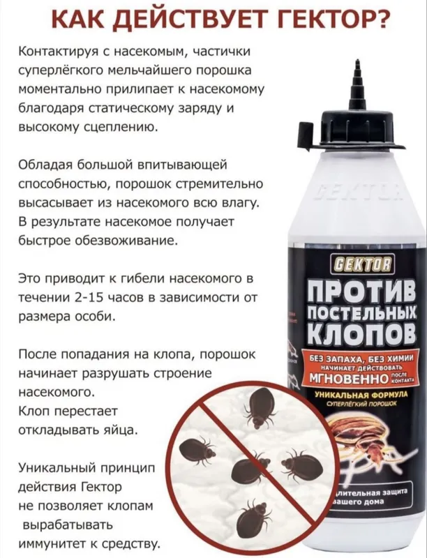 Клопа дори гектор — фото 2