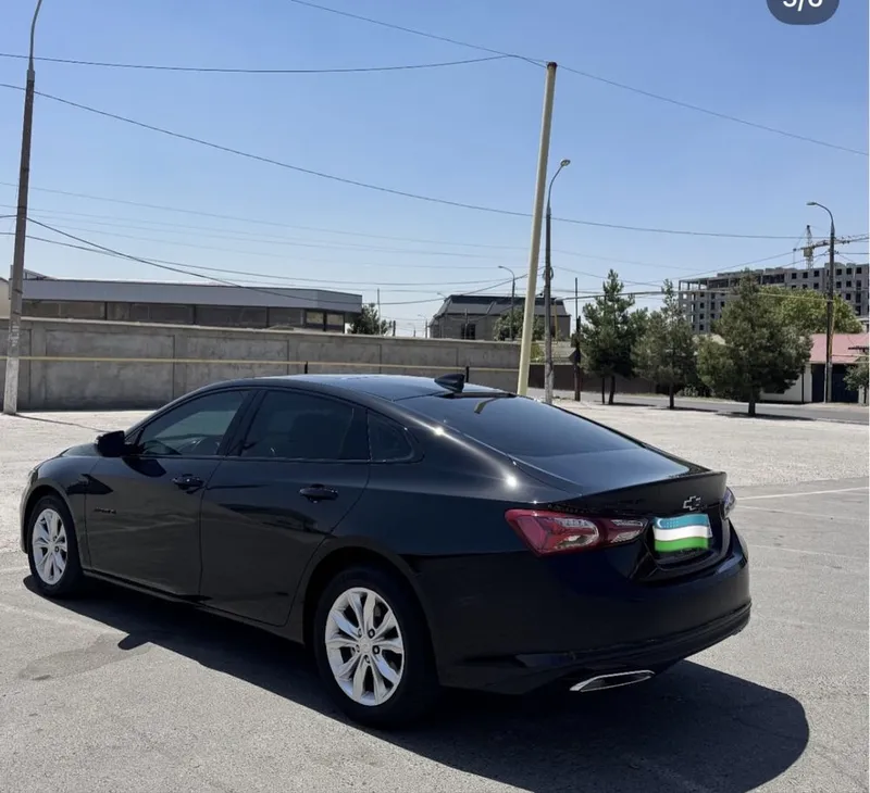 Rent car / рент сар / renta car / рента сар — фото 3