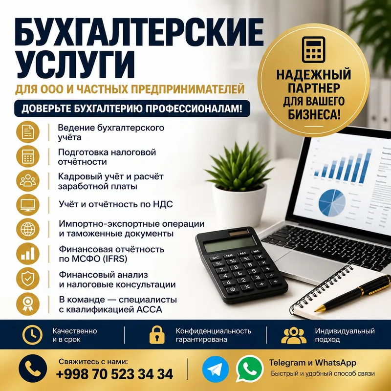Профессиональные бухгалтерские и финансовые услуги Профессиональные бухгалтерские и финансовые услуги