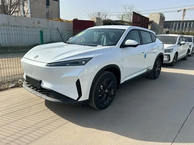 Dongfeng Sky EV01 1 Dongfeng Sky EV01 1
