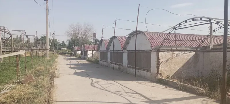 Yangi ozbekistonda 10 gektar yer sotiladi