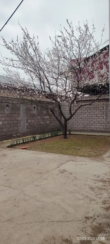 Уй сотилади Рохат пости Барданкул — фото 2