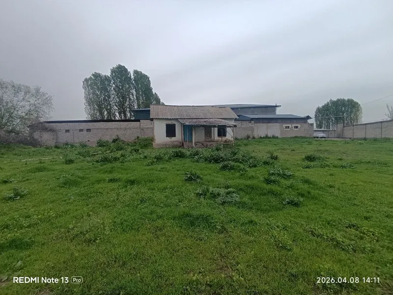 Срочно продам 31 сотку земли недалеко от ташкента 4