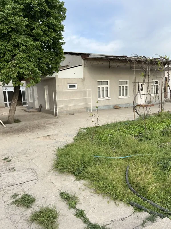 Hovli yer sotiladi Yangi hayot 3 Hovli yer sotiladi Yangi hayot 3