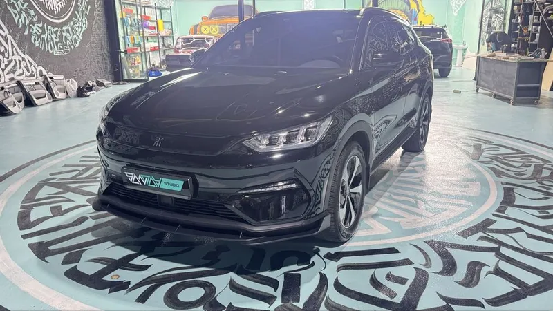 Stealthside - BYD splitter spoiler tuning обвес — фото 4