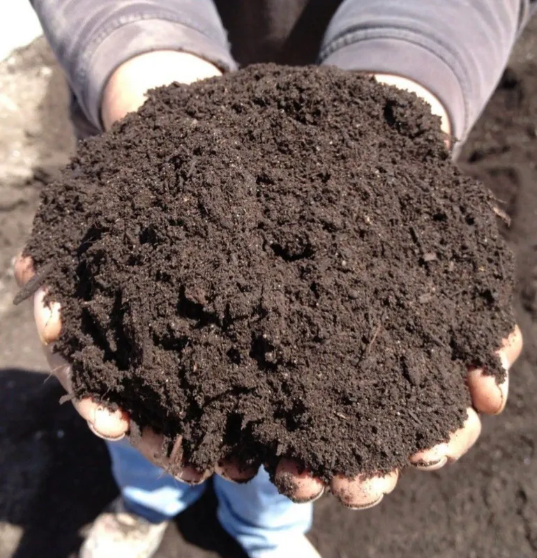 Biogomus torf grund биогомус торф грунд почвосмесь 1