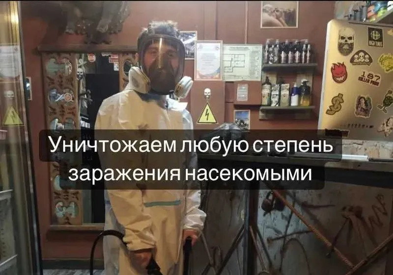 Дезинфекция от клопов | Dezinfeksiya hashoratlarga qarshi | Klapa — фото 5