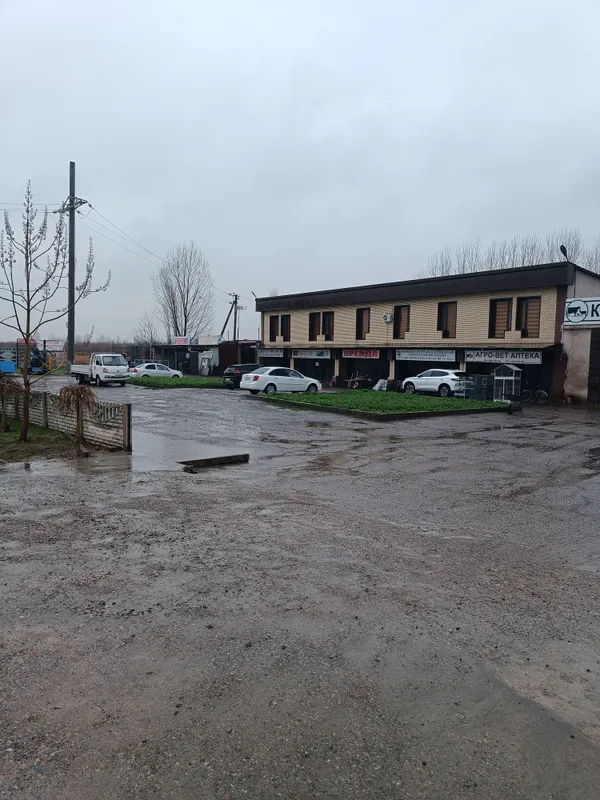 tayor biznes noturar bino nejiloy joy srochna — фото 1