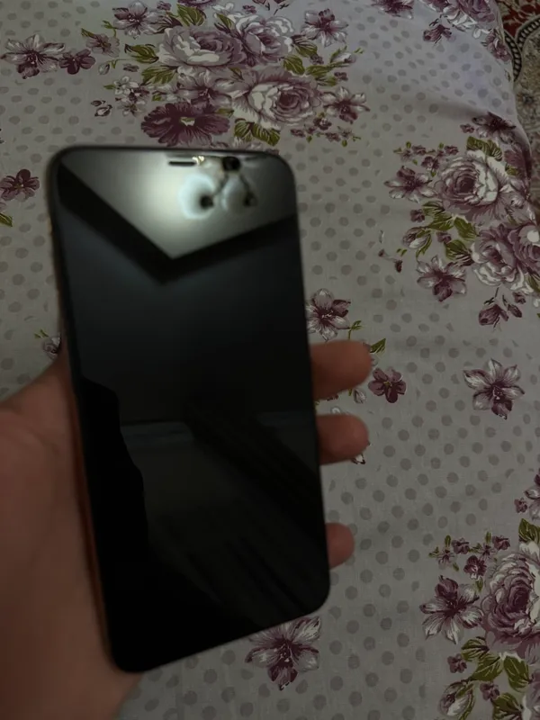 Xs max 1