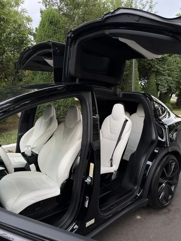 Tesla Model X Perfomance Americanka — фото 3