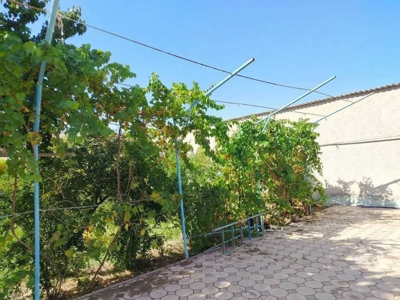 Hovli sotiladi, hamma sharoitlari bor tayyor 4 Hovli sotiladi, hamma sharoitlari bor tayyor 4