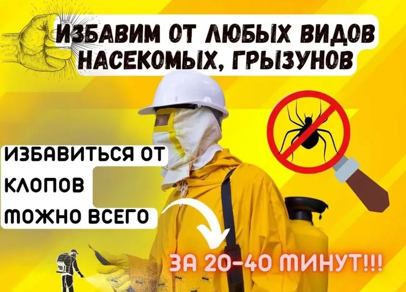 Служба СЭС 100% уничтожение клопов тараканов блох клещей крыс и мышей