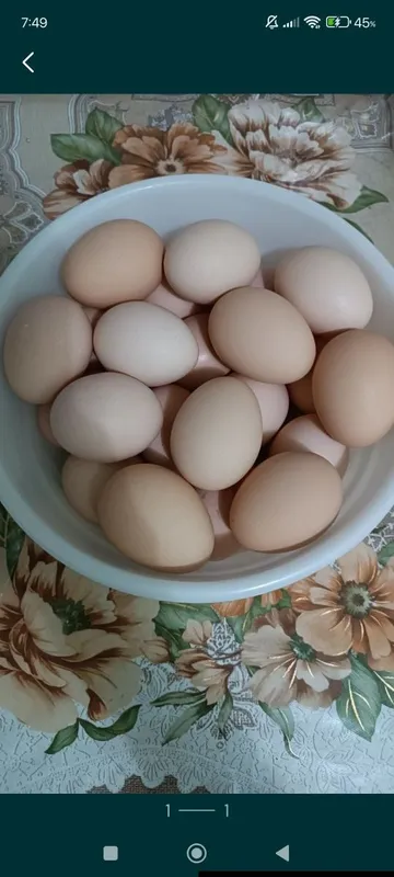 Хонаки тухумлар сотилади