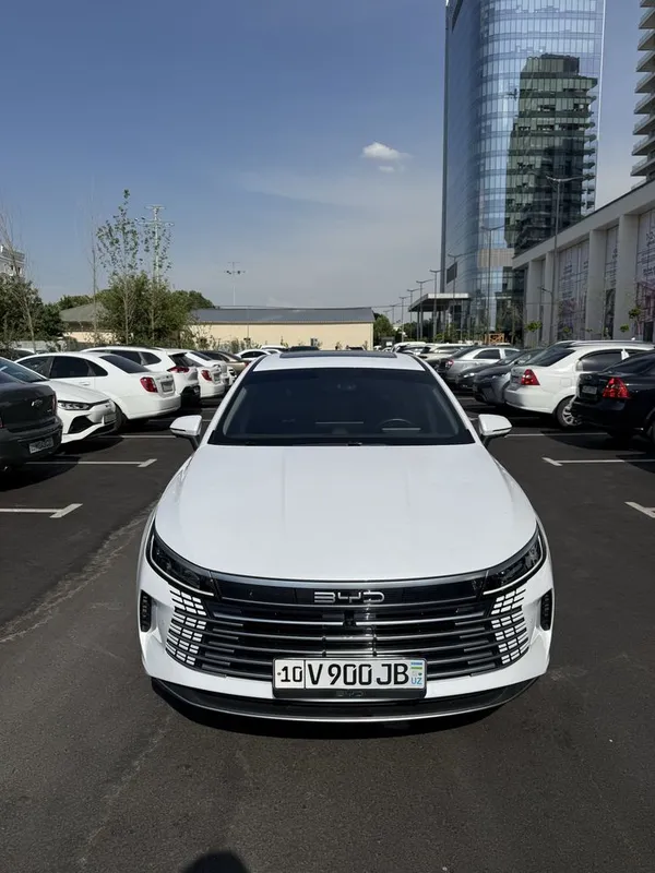 Byd chazor 2024 Byd chazor 2024