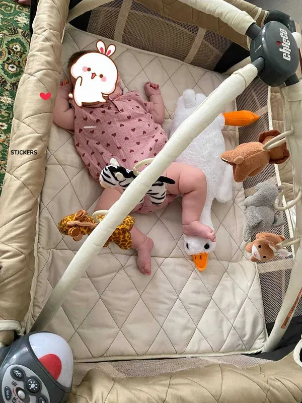 Кроватка-манеж Chicco Lullaby LX
