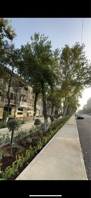 Продам квартиру на 1 этаже под нежилое 3/1/3 в центре Шота Руставели — фото 6