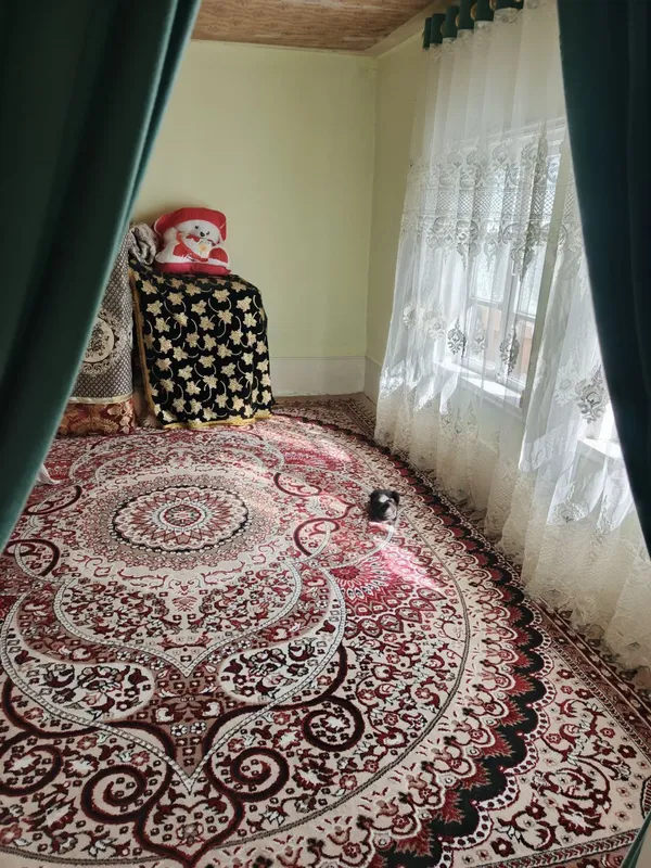 Ховли. Уй участка — фото 8