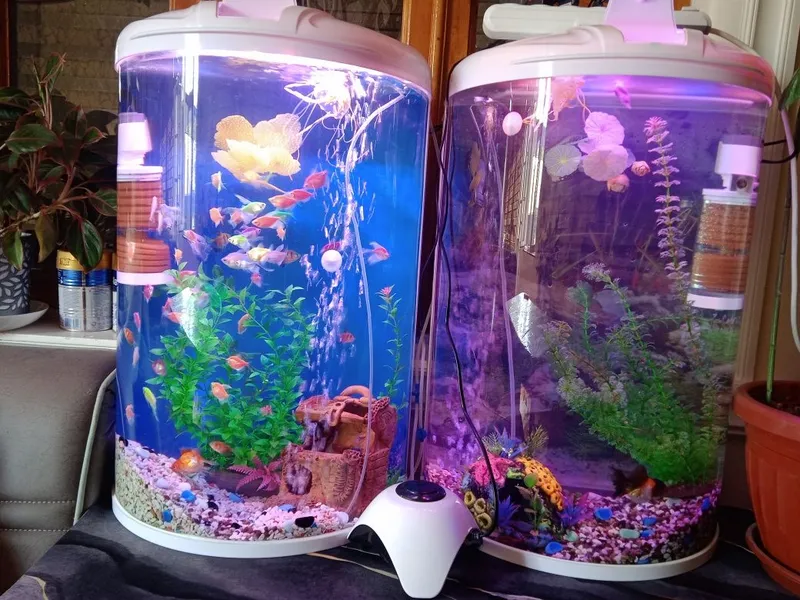 Akvarium va baliqlar bilan 2 Akvarium va baliqlar bilan 2