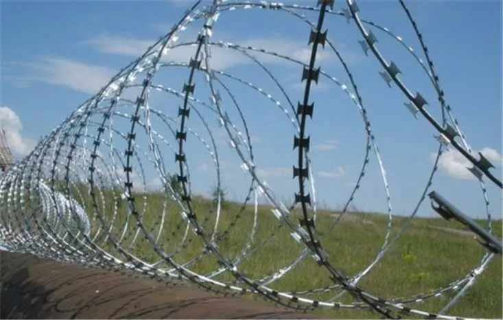 Егоза все виды Yagoza