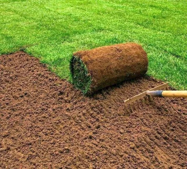 Газон, полив и цветы 2