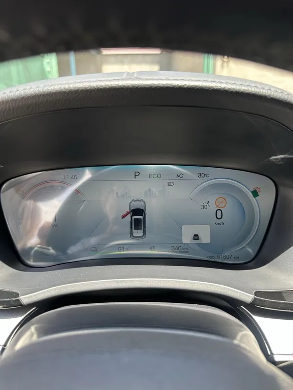 BYD Champion DM-i 9