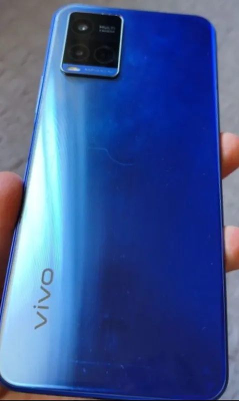 Vivo Vivo