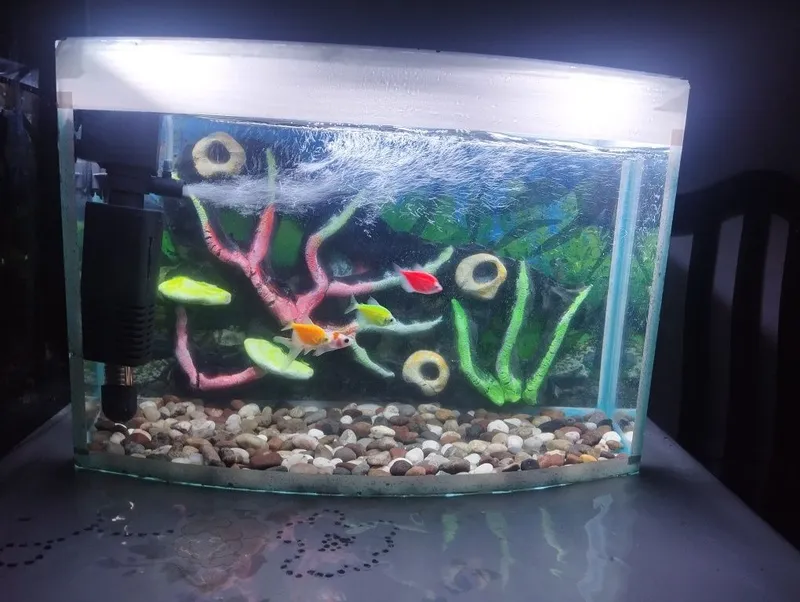 Akvarium komplekt ovalniy sotiladi