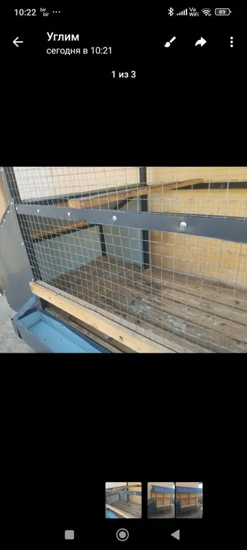 Tovuq katak sotiladi 3 Tovuq katak sotiladi 3