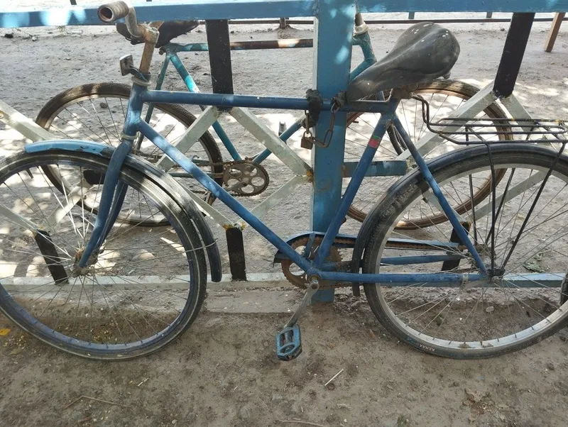Velik holati yaxshi