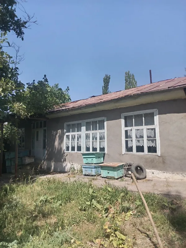Уй сотилади 15 сутки сув сивт бор