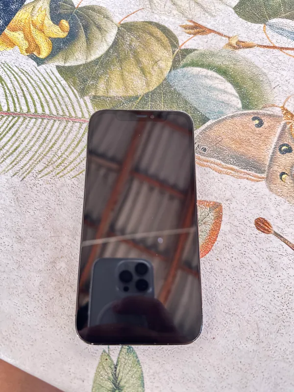 Iphone 12 pro 3