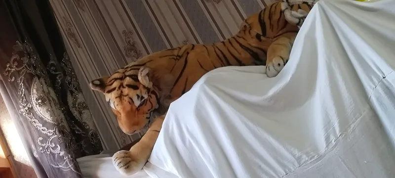 Тигр Тигр