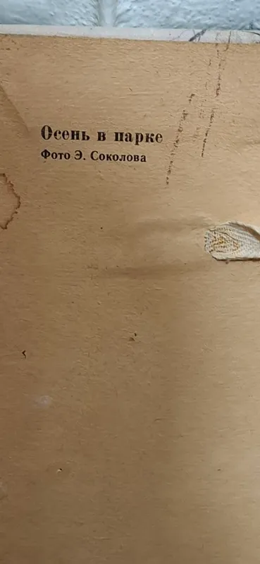 картинка ссср 1981 год 6