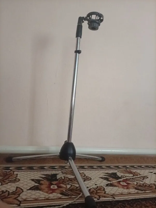 Studio mikrafon stoyka