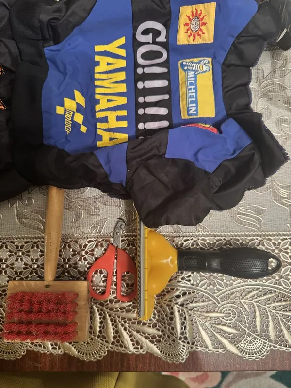 Набор для маленькой собачки 1
