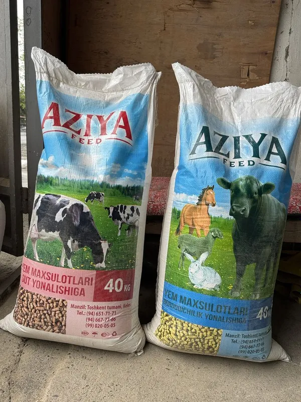 Aziyafeed bordoqchilik va sut yonalishiga novvos sigir va qoylarga yem