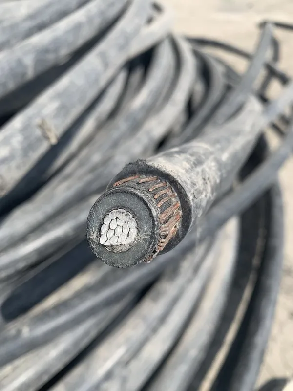 Apvpu 1*50…1*300 — фото 2