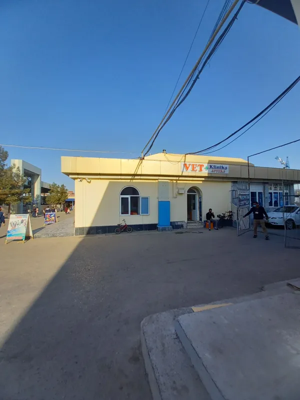 Veterinar xizmatlari va dorixona, zoomagazin 2