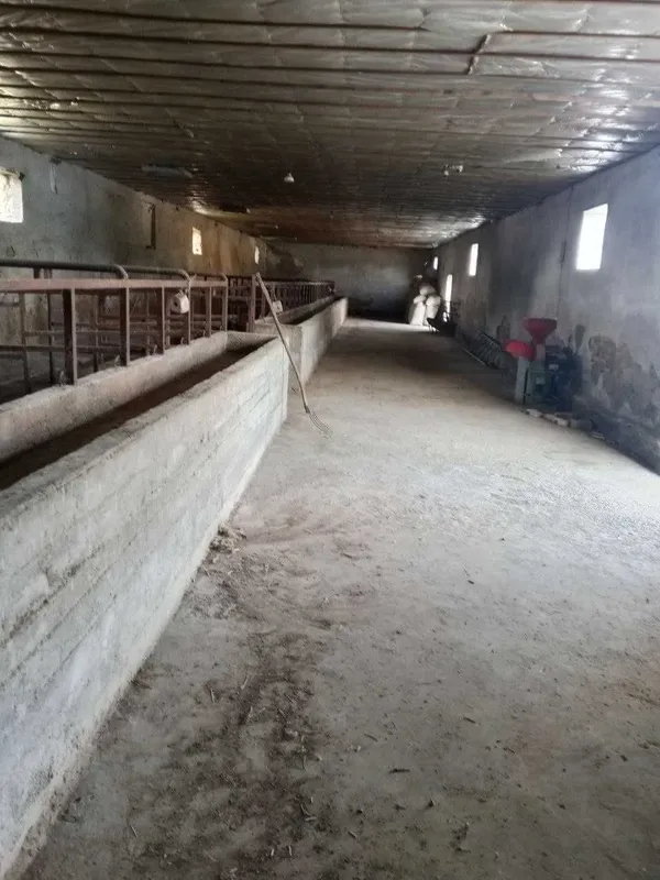 Ferma sotiladi, 13.3 sotx 40 ta buqa yoki ot boqishga mo'ljallangan 8